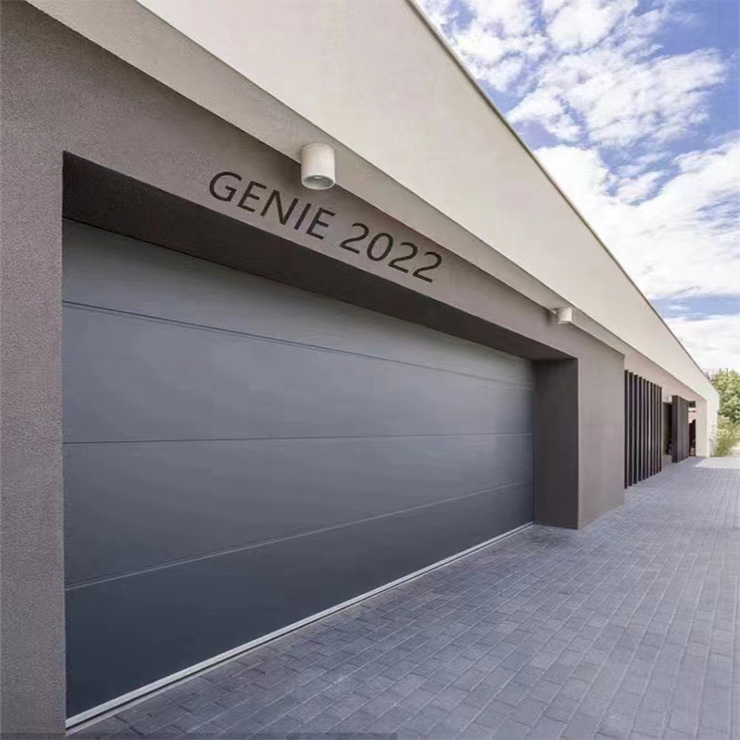 Black Automatic Garage Door